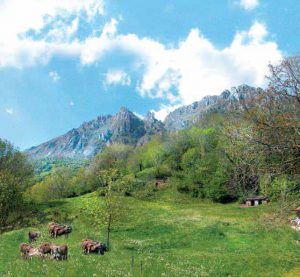 Ferme de la Ruche