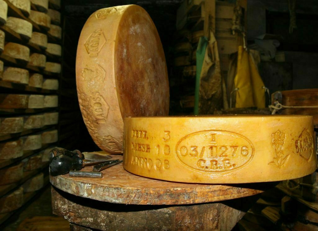 Passer la meule de fromage Bagoss à l'huile de lin