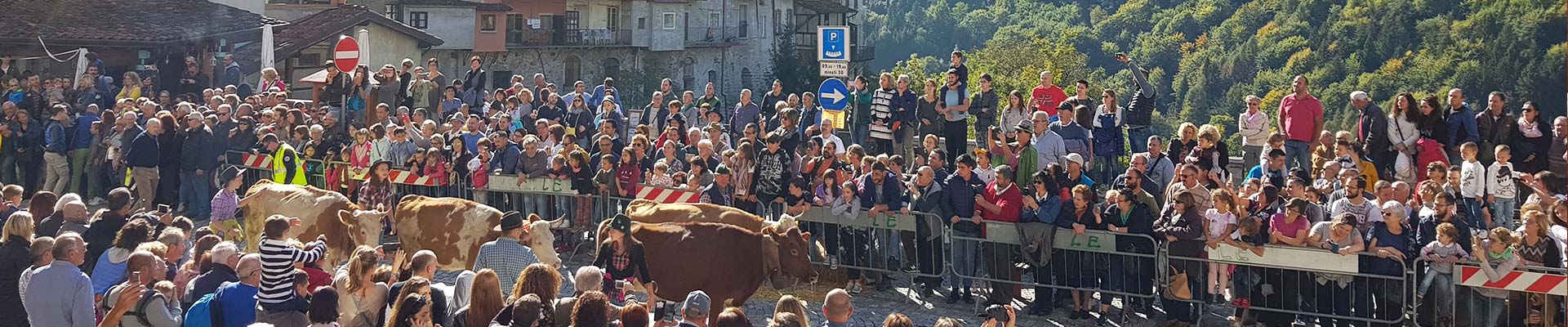 bbuono et transhumance à Bagolino