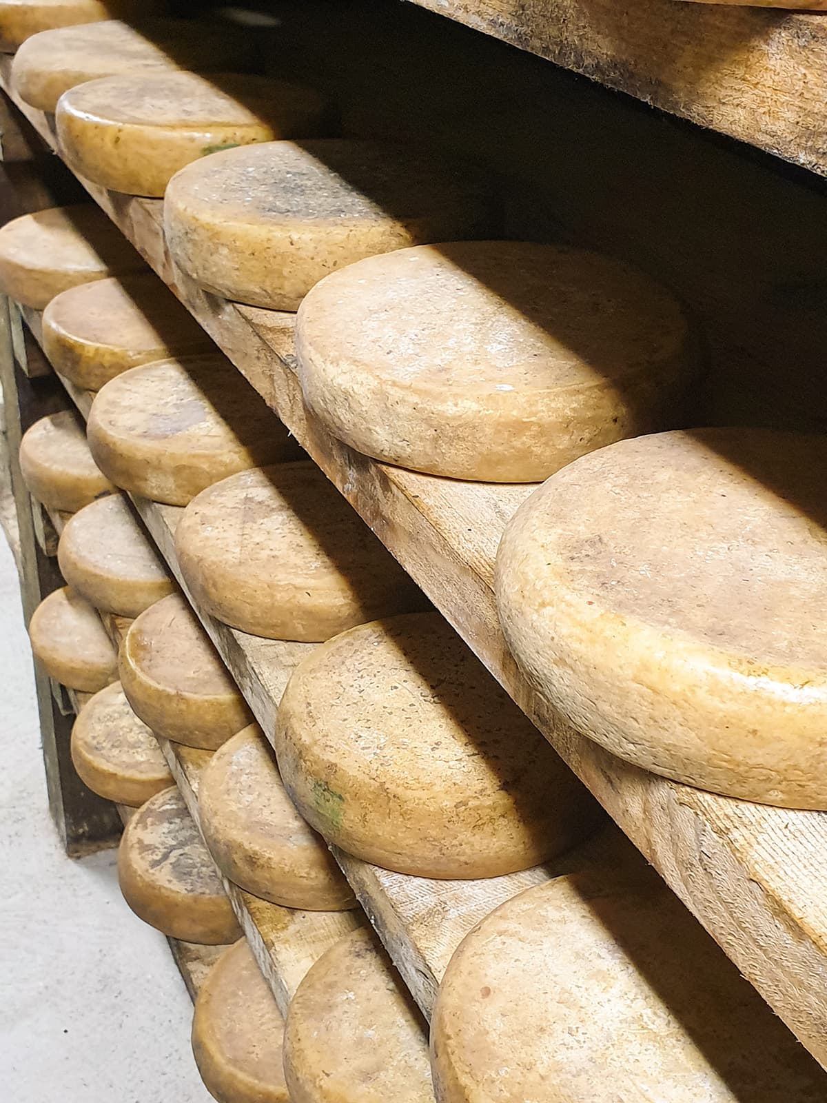 Affinage du fromage dans la mine Graticelle