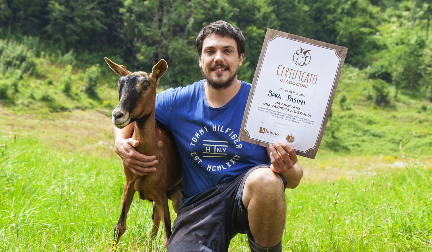 Adopter un bébé chèvre à distance