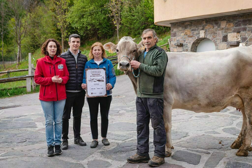 Adotta una mucca della malga Vaia