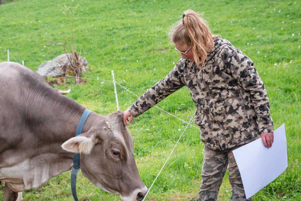 cadeau-fille-certificat-adopte-une-vache-de-montagne