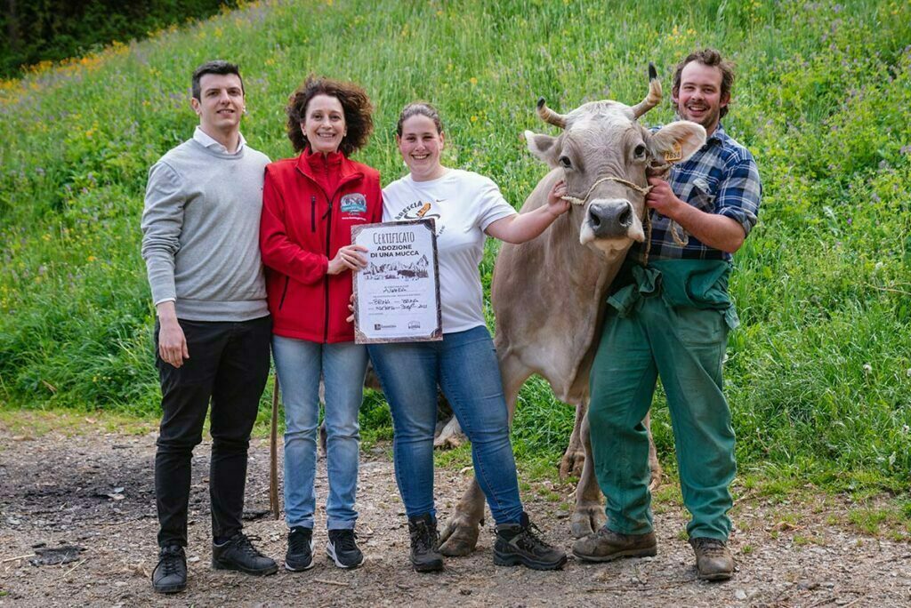 Adoption à distance d’une vache comme cadeau de Noël d’entreprise