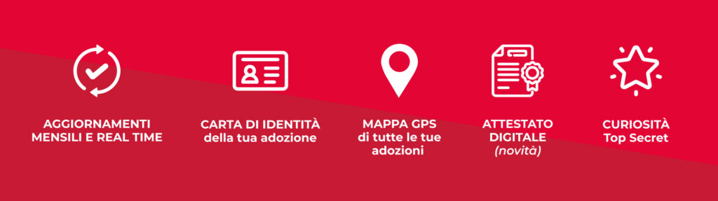 Vorteile-Tagebuch-Adoptionen-bbuono